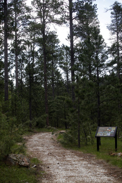 No. 79: Sawyer Memorial Trail